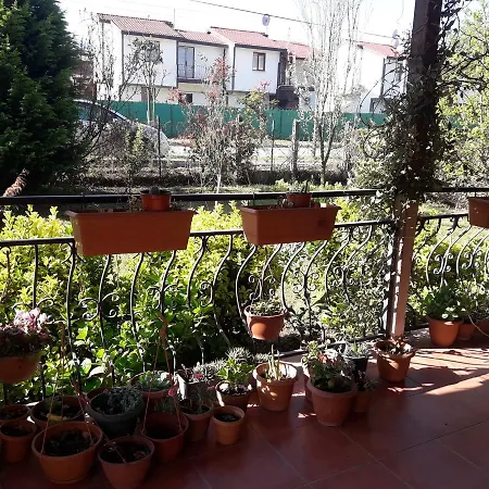 Guel Villa Villa *