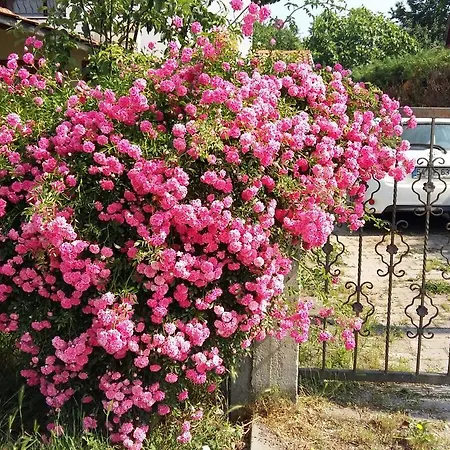 Villa Guel Villa