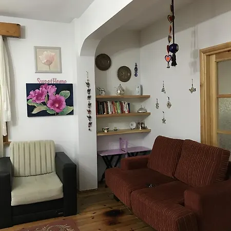 Guel Villa