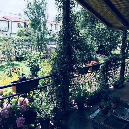 Guel Villa Villa