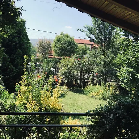 Villa Guel Villa *
