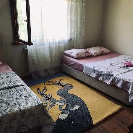 Guel Villa Villa Sapanca