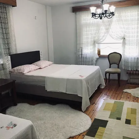 Guel Villa