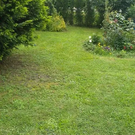 Guel Villa Villa *