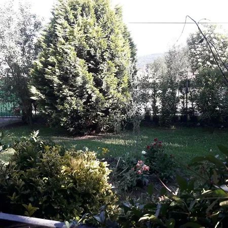 Guel Villa Villa *
